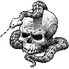 Avatar de l’utilisateur