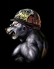 Avatar de l’utilisateur